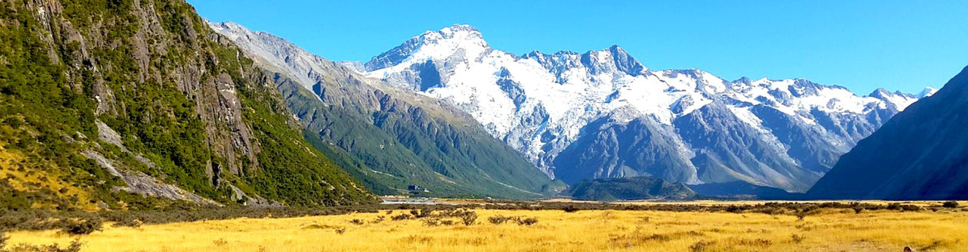 New Zealand (NZ) SIM Card - SimCornerUSA