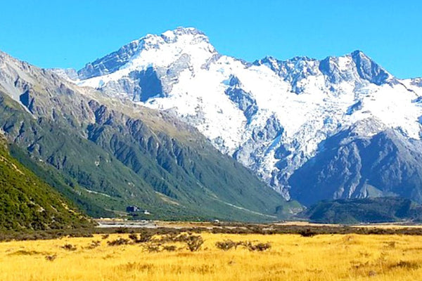 New Zealand (NZ) SIM Card