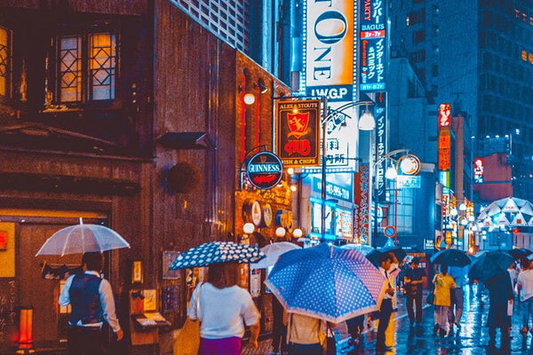Touring Tokyo on a budget