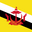 Brunei eSIM icon
