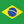 Brazilicon