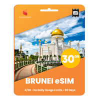 Thumbnail for Brunei eSIM: 30GB - 30 Days