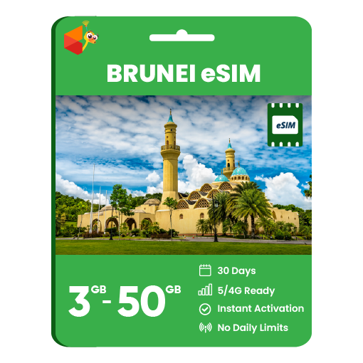 Brunei Data eSIM