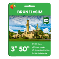 Thumbnail for Brunei Data eSIM